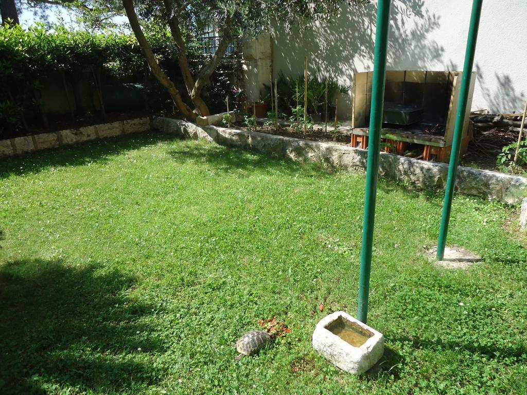 Omis Apartment On The Beach מראה חיצוני תמונה